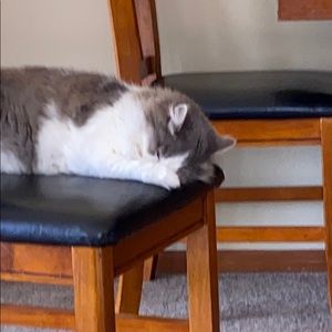 Meet your Posher, Diane